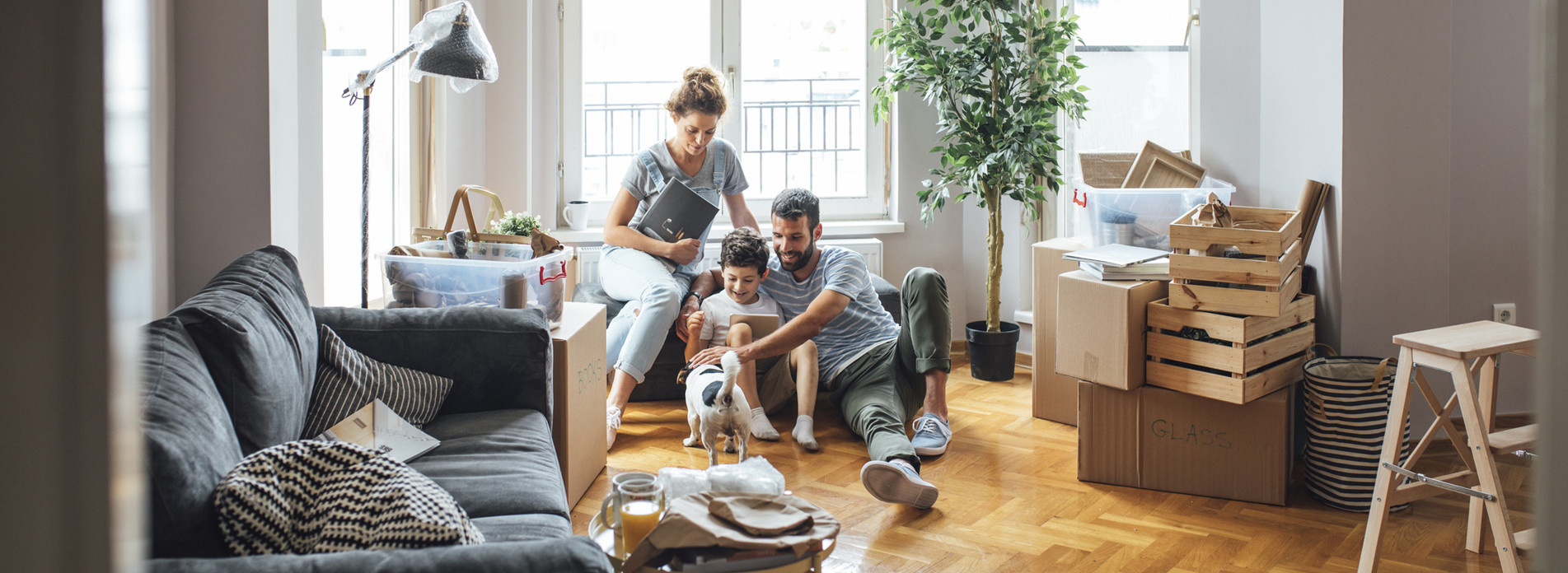 ABEC SECURITE BOULOGNE PROTECTION à BOULOGNE, membre du réseau expert Vachette